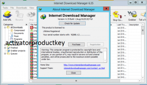 Internet Download Manager Crack 6.38 Build 17 Full Patch + Serial Key Download 2021